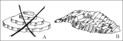 dica005b